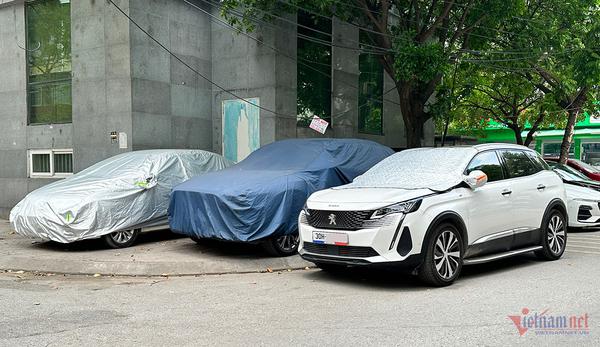 Đủ kiểu chống nắng cho xe hơi