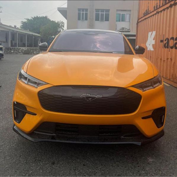 Chi tiết Ford Mustang Mach E 2022 đầu tiên cập bến Việt Nam