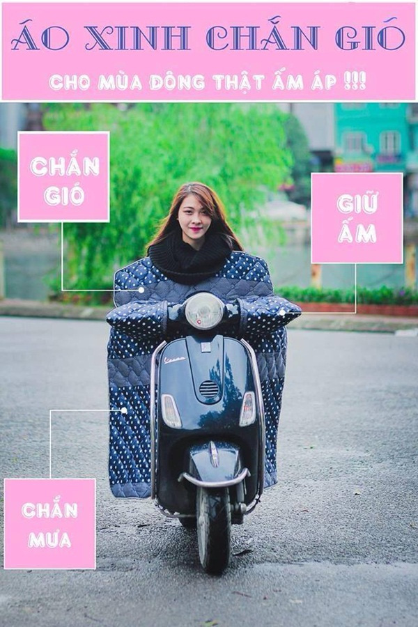 Ảnh cười xe cộ