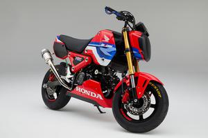 Honda Grom HRC  dòng xe thuộc phiên bản đường đua của thương hiệu Honda