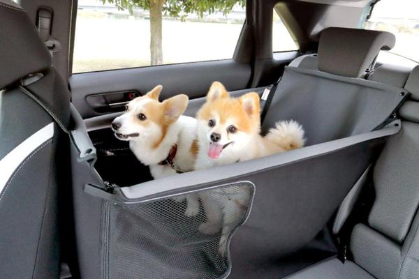 Honda "chiều lòng" hội yêu thú cưng, ra mắt bộ phụ kiện siêu độc đáo