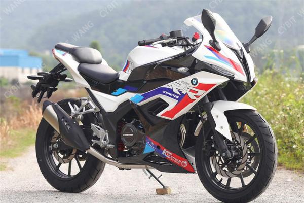 Gymotor 250 có thiết kế tương tự như mẫu xe BMW S1000 RR