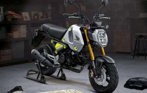 2021 Honda MSX 125 sắp được đổ bộ vào thị trường Việt Nam