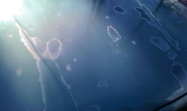 Có nên phủ ceramic cho xe màu đen không?