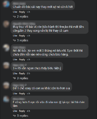 Khách hàng phản ánh lỗi Hyundai Accent nhưng không được xử lí, quyết định diễu hành đòi công bằng