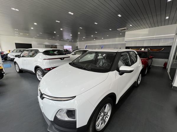 Các hãng bảo hiểm đang phân biệt đối xử với chủ xe điện?