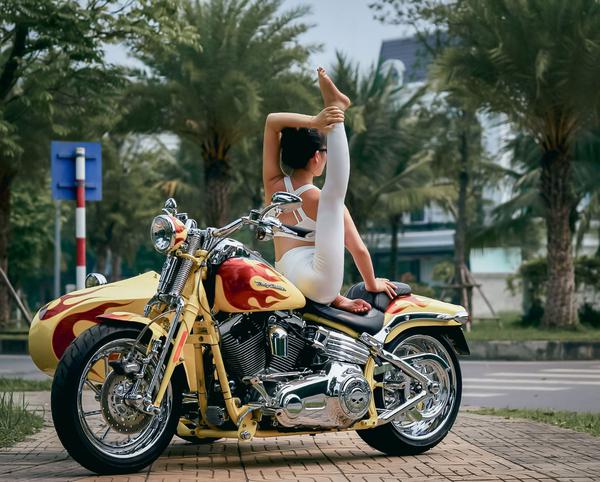 HLV Yoga khoe đường cong với sidecar Harley Davidson CVO Softail Springer 2009