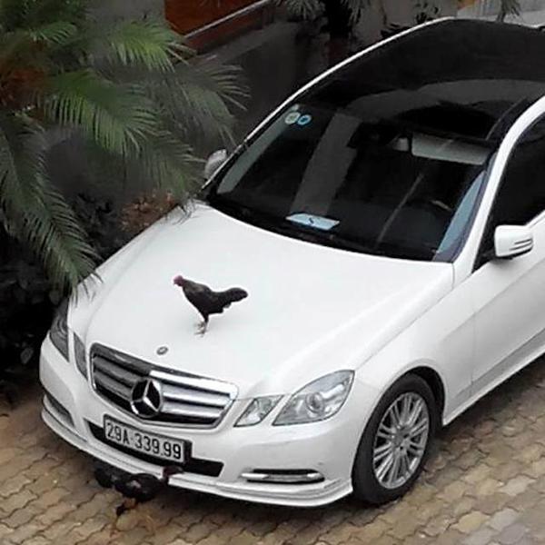 Ảnh hài về giao thông tại Việt Nam