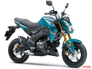 Kawasaki Z125 Pro 2021 ra mắt khẳng định vị thế