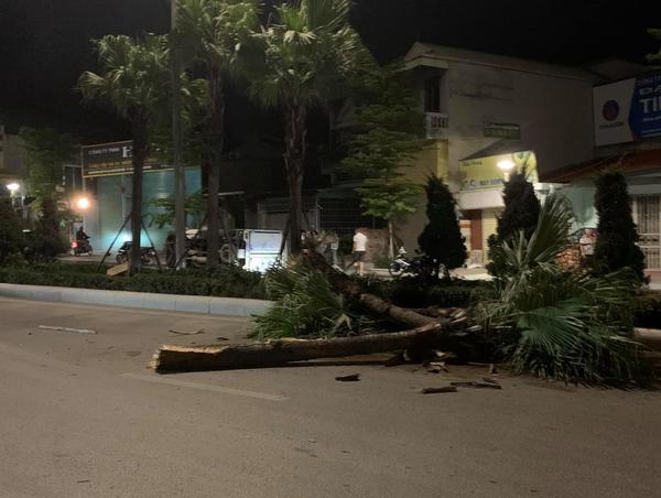 Ô tô tải mất lái, lao vào dải phân cách tông đổ hàng cây rồi lật nghiêng giữa đường