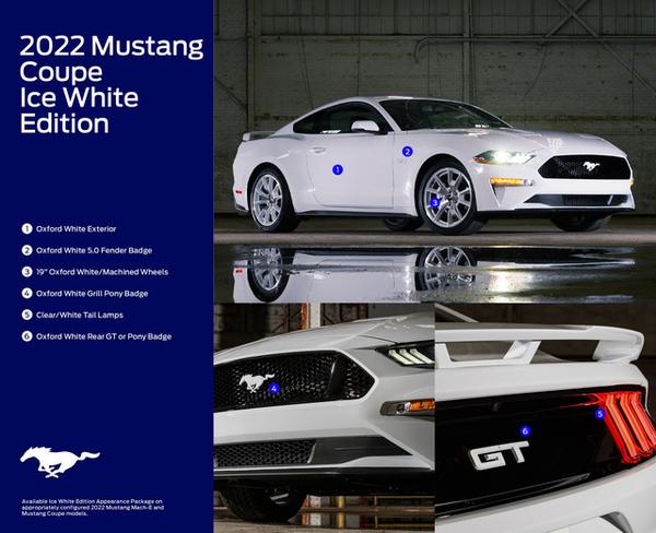 Ford ra mắt phiên bản Ice White Edition dành cho cả 2 biến thể Mustang