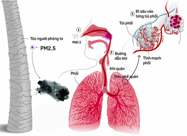 MG Việt Nam trang bị thêm hệ thống lọc không khí có tính năng lọc bụi mịn PM 2.5