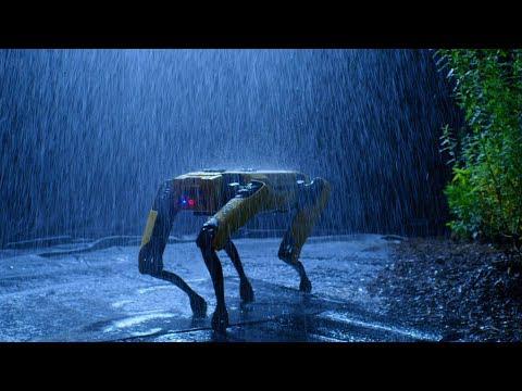 Hyundai mua lại công ty chế tạo robot nổi tiếng Boston Dynamics