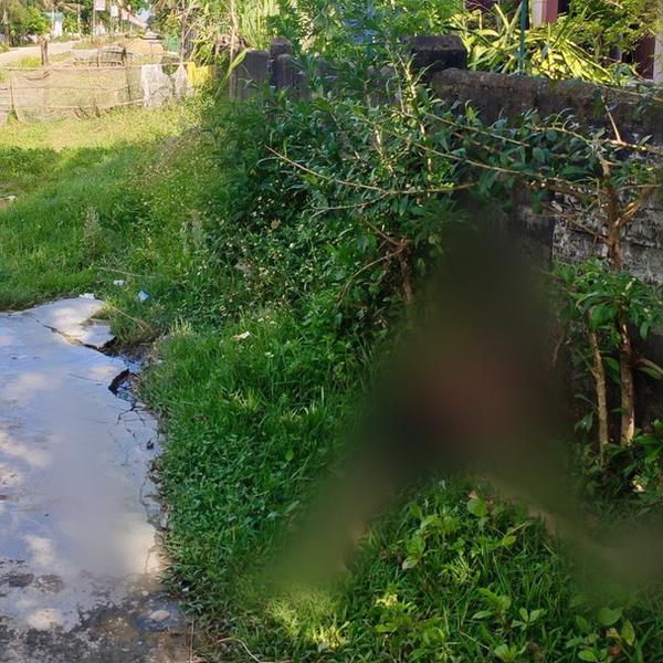 Va chạm với ô tô tải, nam thanh niên văng lên lề đường tử vong tại chỗ tại Nghệ An